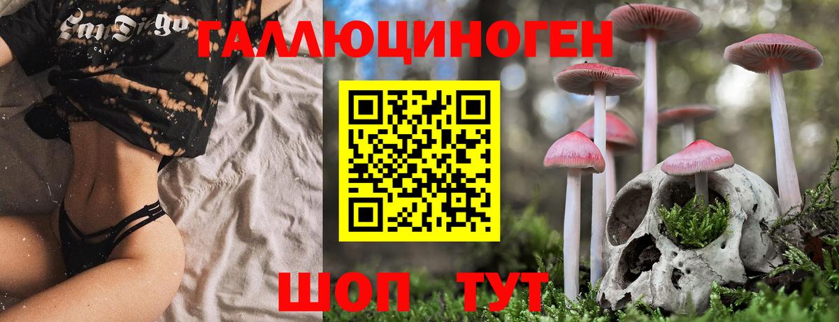 Псилоцибиновые грибы мухоморы  Галлюциногенные грибы MAGIC MUSHROOMS  Калуга  Вход с VPN 